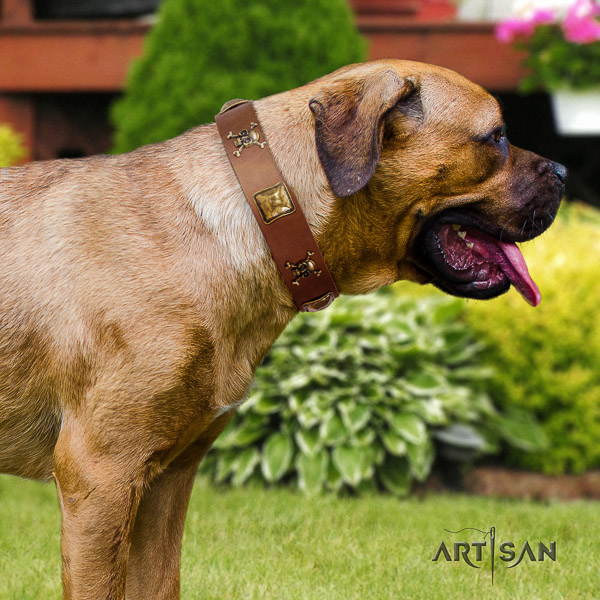 Cane Corso amazing full grain natural leather dog collar for easy wearing