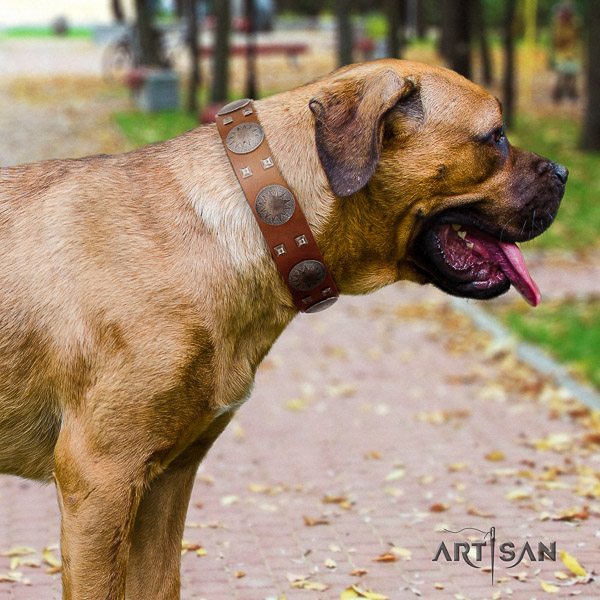 Cane Corso handcrafted leather dog collar for comfortable wearing
