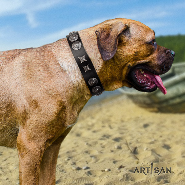 Cane Corso best quality genuine leather dog collar for easy wearing