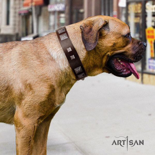 Cane Corso stylish full grain genuine leather dog collar for walking