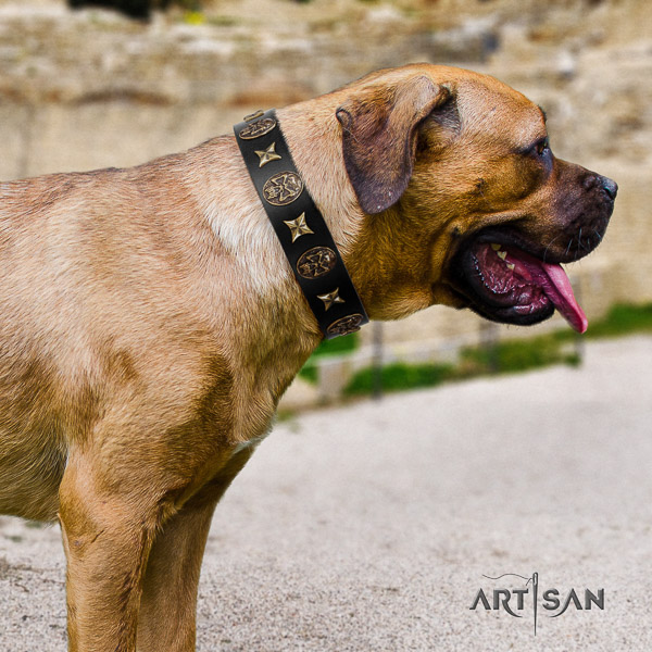 Cane Corso exceptional leather dog collar for walking