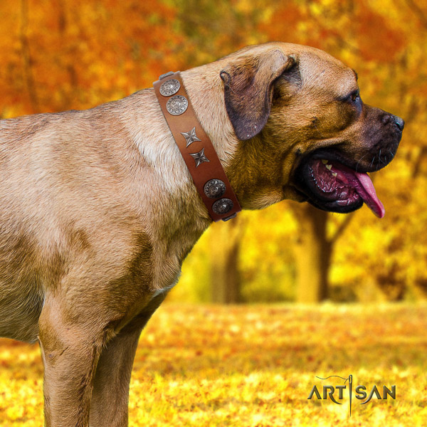 Cane Corso convenient full grain natural leather dog collar for basic training