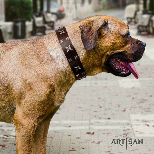 Cane Corso inimitable leather dog collar for comfortable wearing