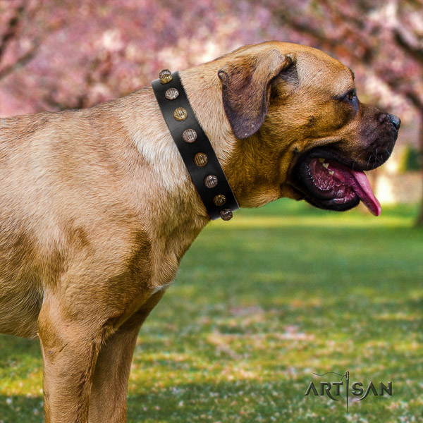 Cane Corso easy to adjust full grain natural leather dog collar for walking