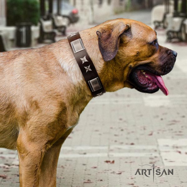 Cane Corso adorned full grain leather collar with rust resistant traditional buckle