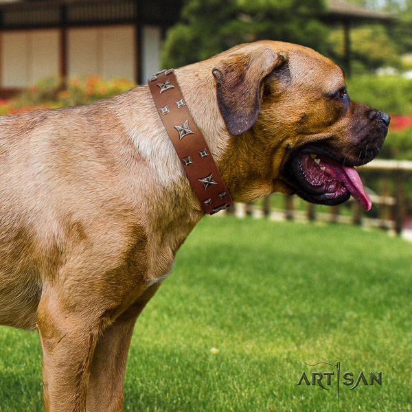 Cane Corso easy wearing full grain leather dog collar for daily walking