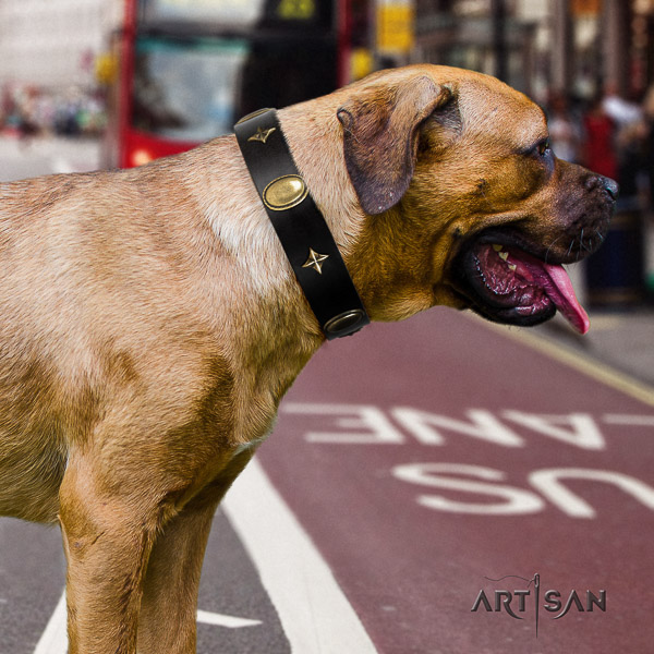 Cane Corso studded leather dog collar for basic training