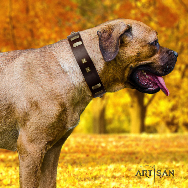 Cane Corso awesome full grain leather dog collar for comfortable wearing