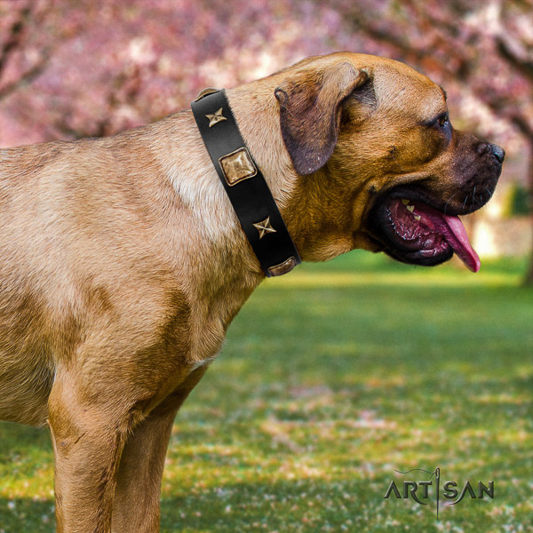 Cane Corso extraordinary leather dog collar for basic training