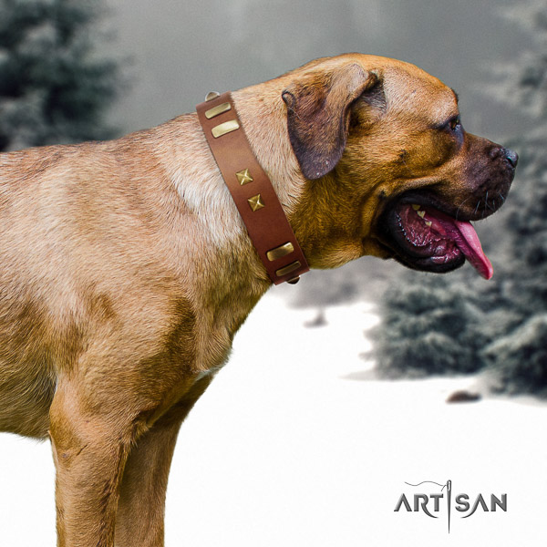 Cane Corso inimitable full grain natural leather dog collar for basic training