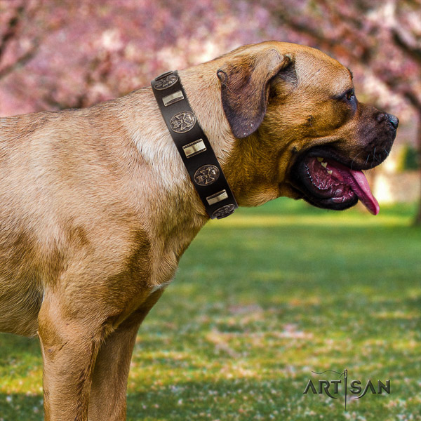 Cane Corso remarkable leather dog collar for stylish walking