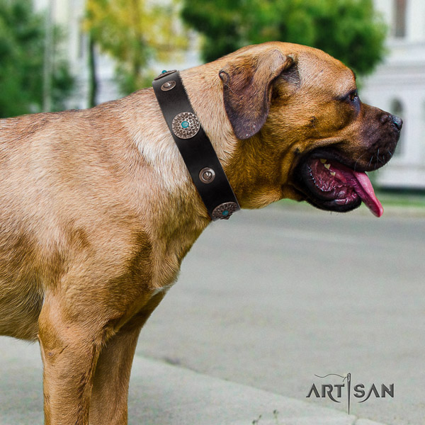 Cane Corso exceptional natural genuine leather dog collar for easy wearing