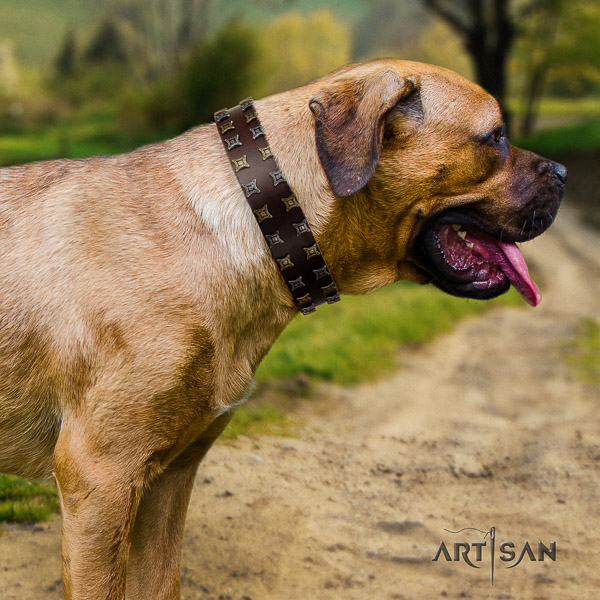Cane Corso trendy genuine leather dog collar for stylish walking