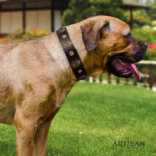 Cane Corso designer full grain genuine leather dog collar for walking