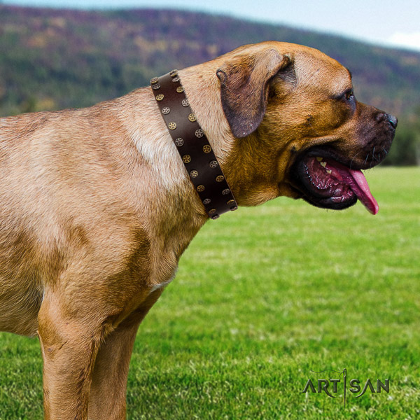 Cane Corso stylish design full grain natural leather dog collar for comfy wearing