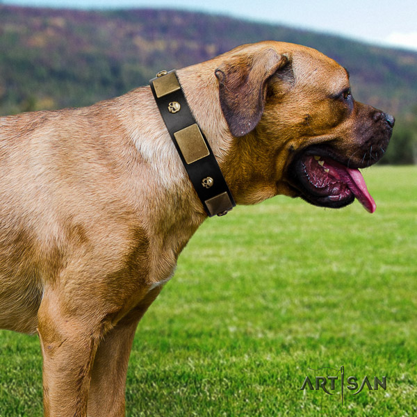 Cane Corso embellished natural genuine leather dog collar for comfortable wearing