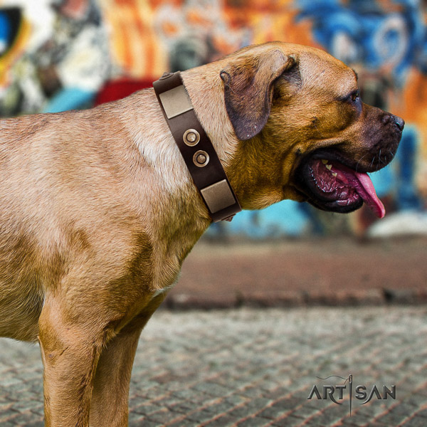 Cane Corso awesome leather dog collar for handy use