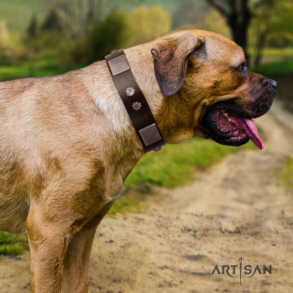 Cane Corso stylish genuine leather dog collar for fancy walking