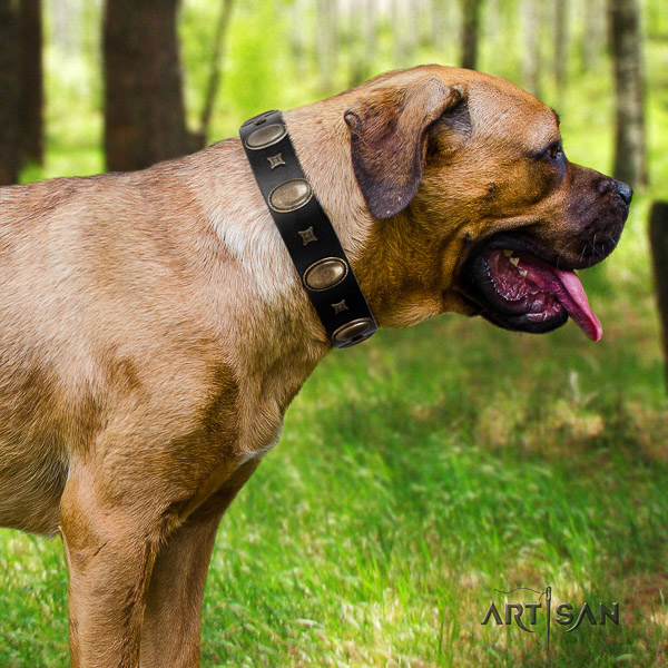 Cane Corso top notch leather dog collar for easy wearing