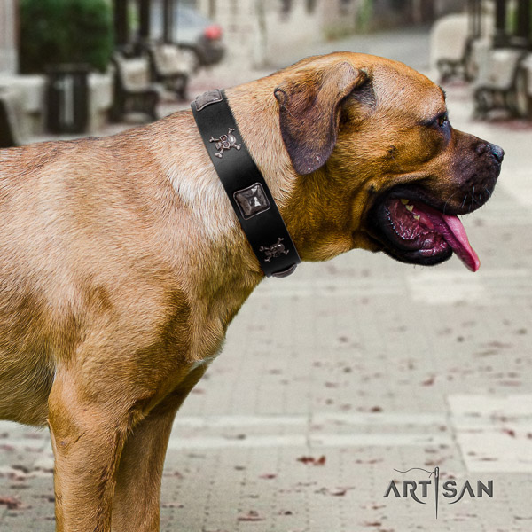 Cane Corso adorned leather dog collar for daily use
