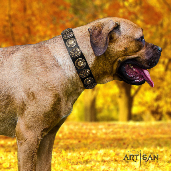 Cane Corso incredible full grain leather dog collar for daily use
