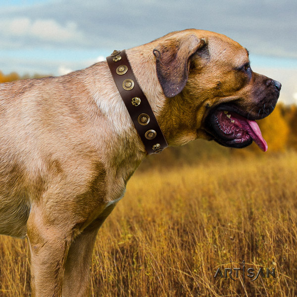 Cane Corso handcrafted full grain natural leather dog collar for daily walking