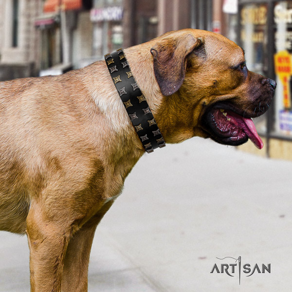 Cane Corso extraordinary genuine leather dog collar for basic training