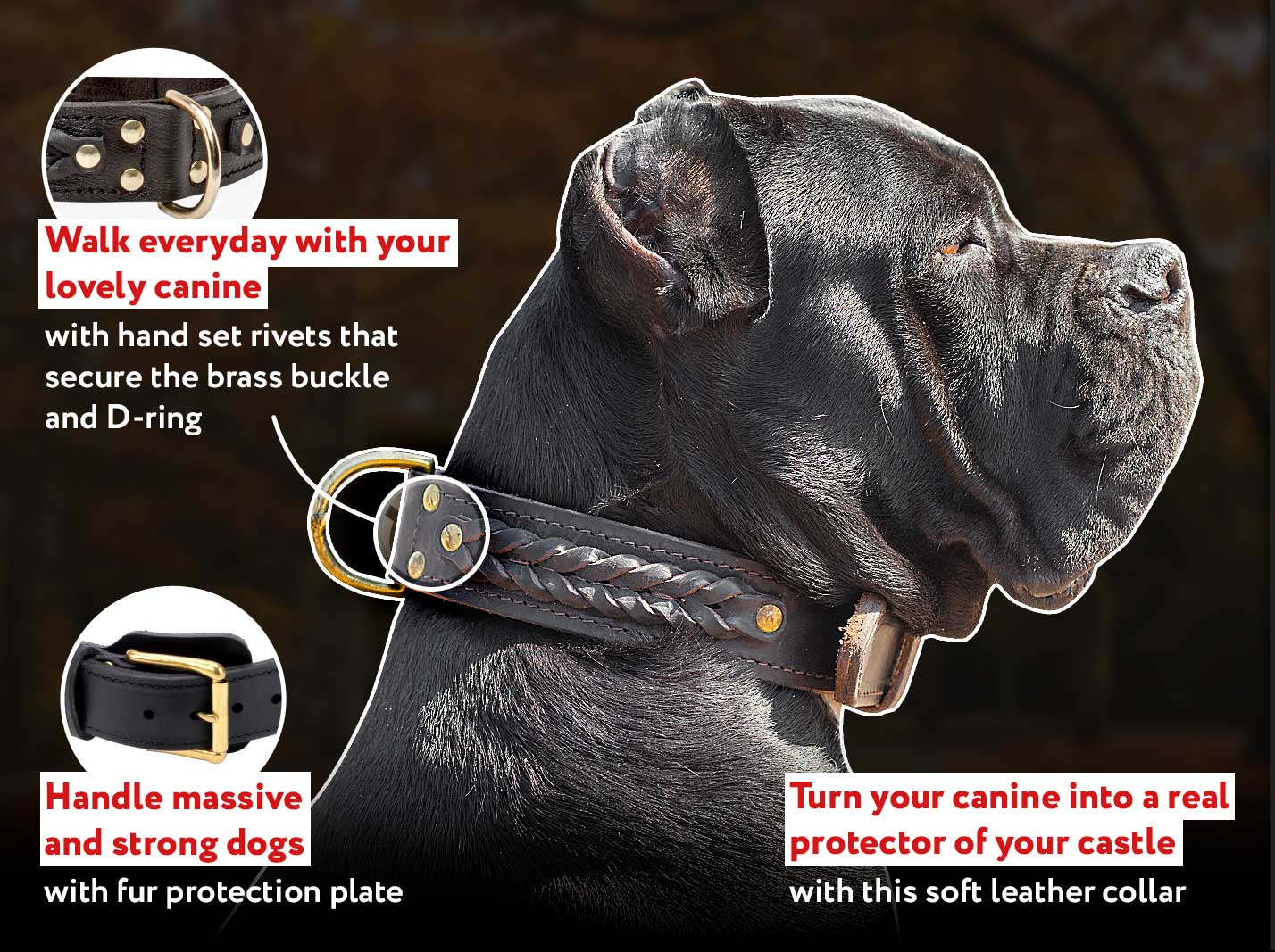 Designer Dog Collars, Leather Dog Collars