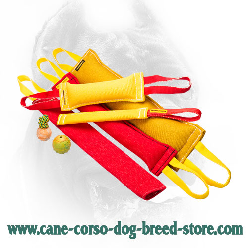 Cane on sale corso items