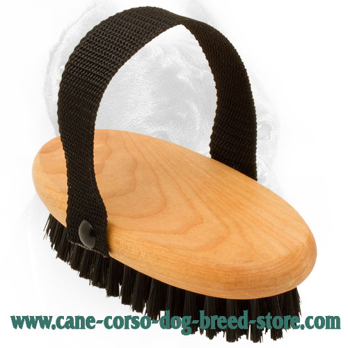 Wooden Bristle Brush for Cane Corso Grooming : Cane Corso dog harness, Cane  Corso dog muzzle, Cane Corso dog collar, Dog leash