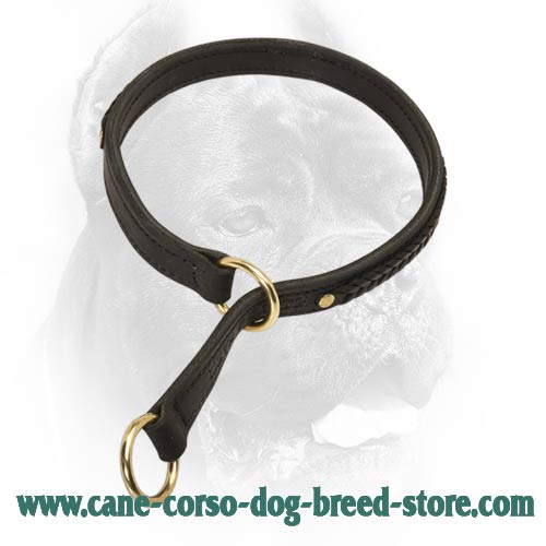 braided choke collar