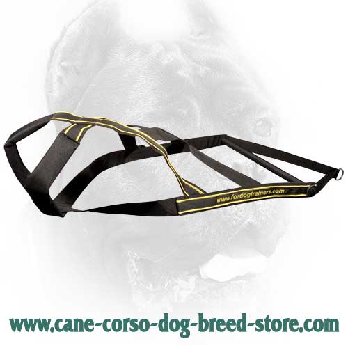 Weight Pulling Nylon Cane Corso Harness