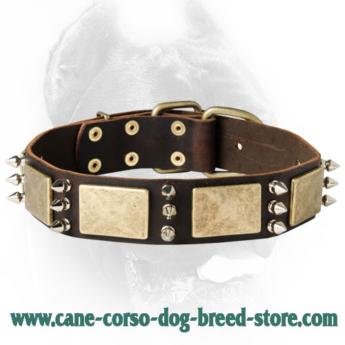 Custom Leather Dog Collar for CANE CORSO - Designer Dog Collar