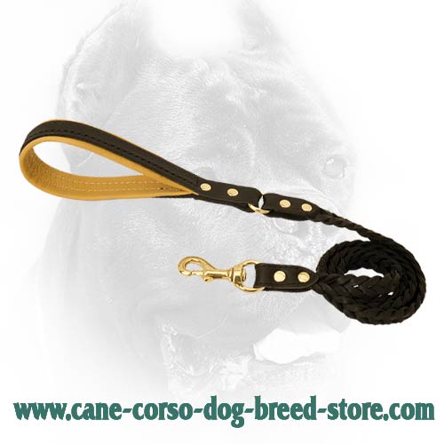 Leather discount leash store