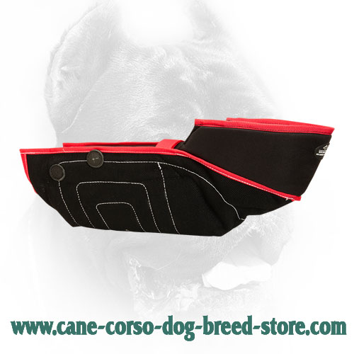 Arm protection sleeves dog training best sale